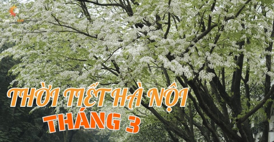 Thời tiết Hà Nội tháng 3 còn lạnh không? Nên đi chơi ở đâu?